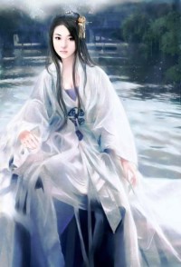 海贼之精灵猫