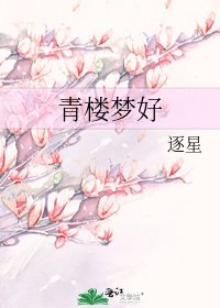 青楼梦好